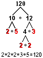 factor-tree of 120